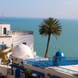 チュニジアってどんな国？歴史・経済・観光スポットを紹介します！