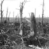 第一次世界大戦とロシア革命について【定期試験対策】