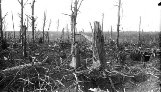 第一次世界大戦とロシア革命について【定期試験対策】